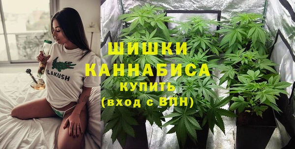 индика Балахна