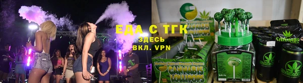 индика Балахна