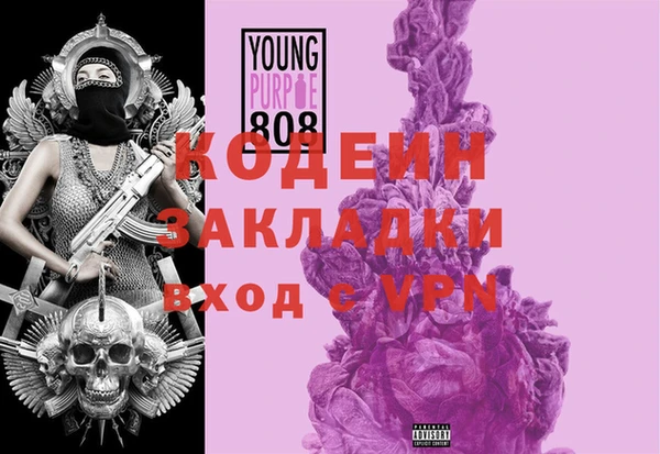 индика Балахна
