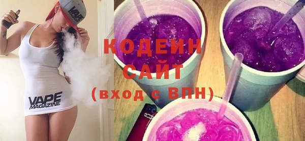 индика Балахна