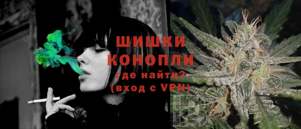 индика Балахна