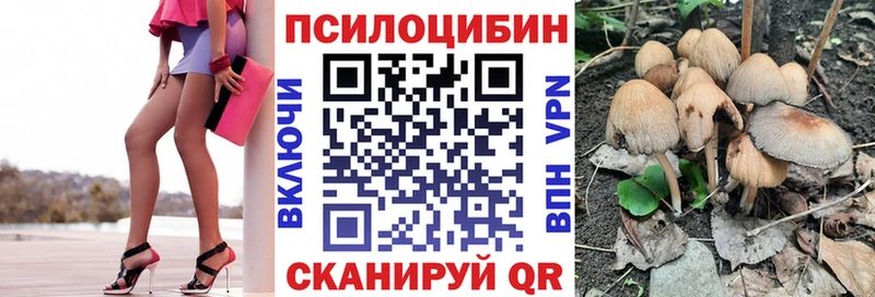 купить цена Бор Галлюциногенные грибы Cubensis