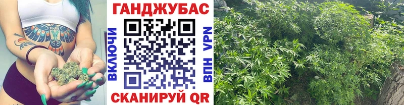 как найти наркотики  Бор  даркнет какой сайт  Конопля THC 21% 